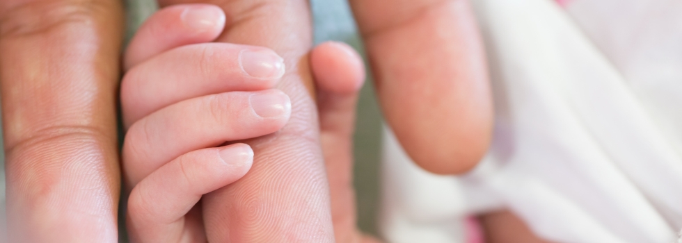 A baby holding an adults finger